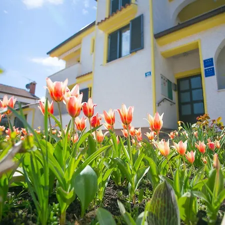 House Matosevic Guest house 3*